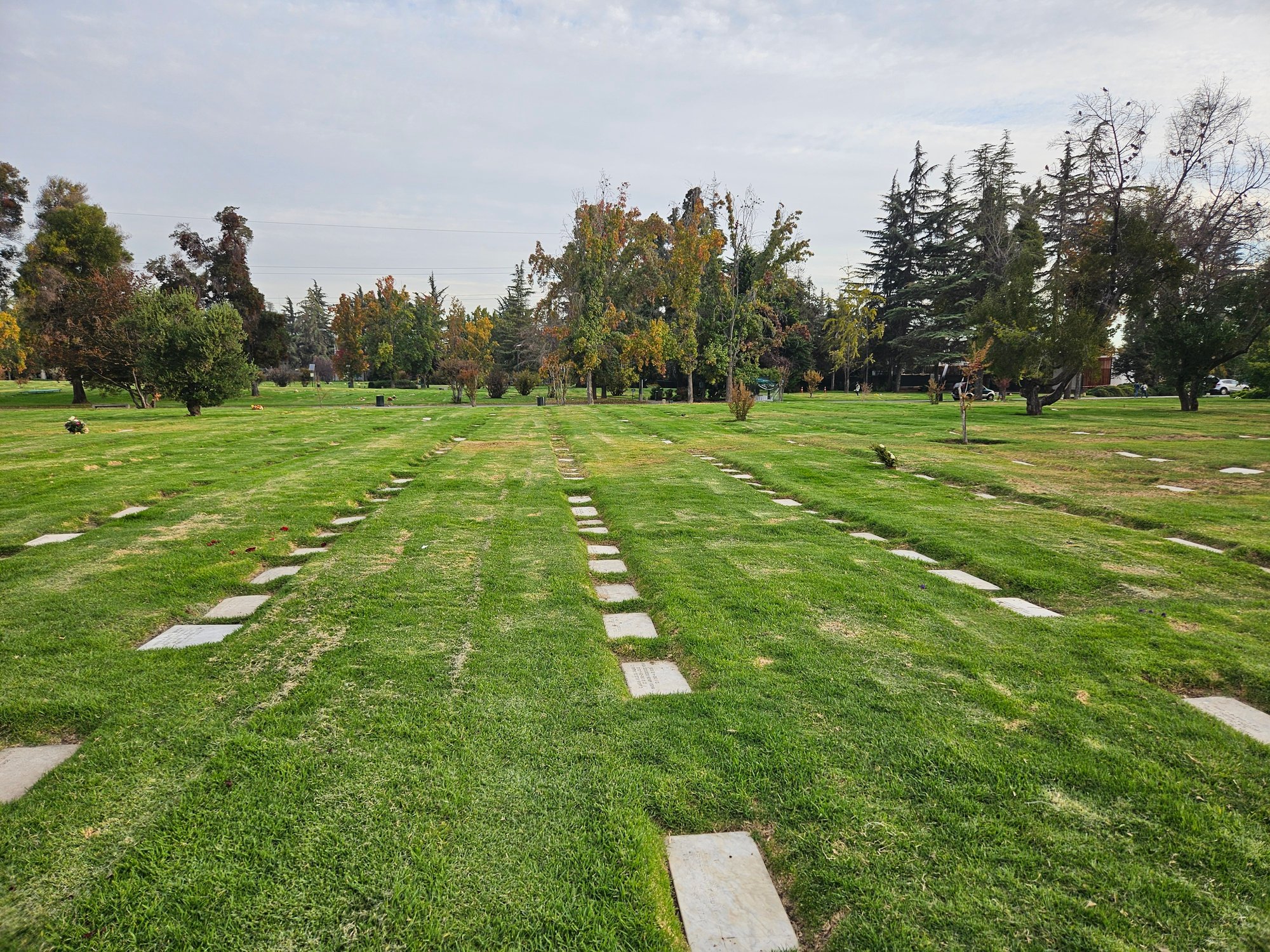 2026-Chile-PARQUE DEL RECUERDO-Photo_achicada