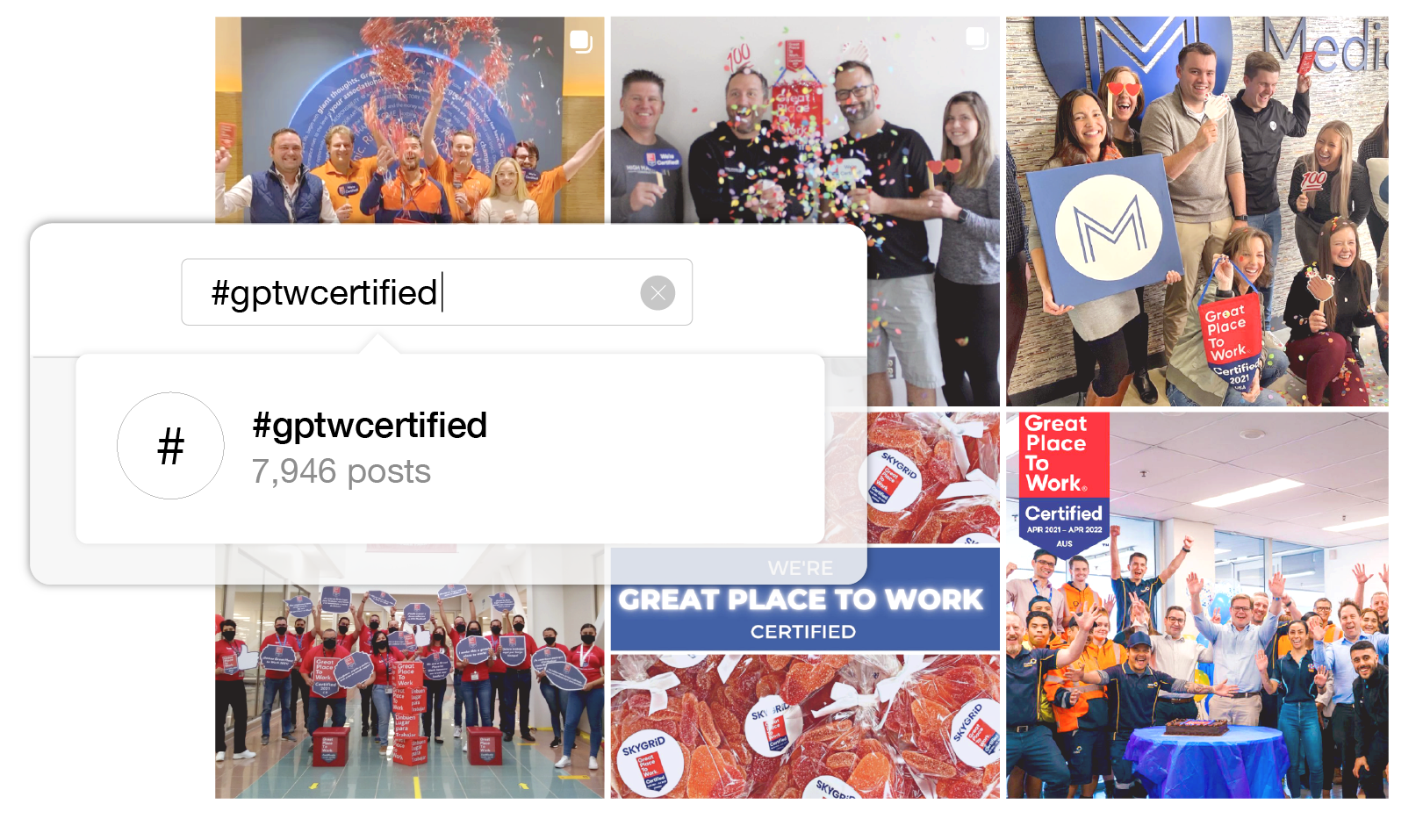 Photogrid_with_Search_Module